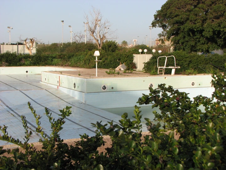 An empty, overgrown outdoor swimming pool in late afternoon light