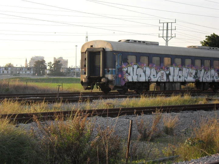 A graffiti-covered railway carriage beside grassy tracks